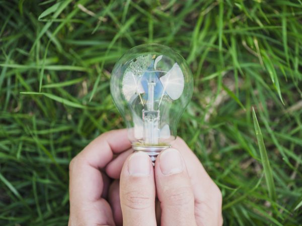 close-up-two-hands-holding-light-bulb-against-green-grass